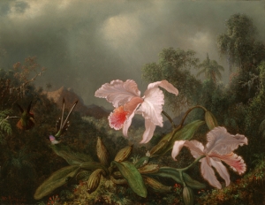 Martin Johnson Heade, Jungle Orchids and Hummingbirds (1872)